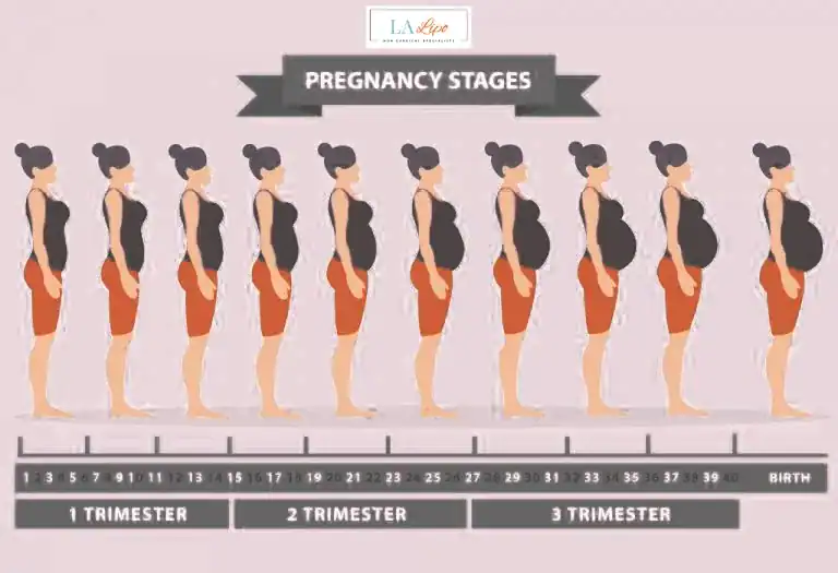 First Trimester (Weeks 1–12): Early Changes You Might Not Notice Maidenhead